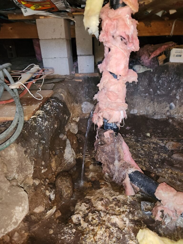 347133a5-f679-41b8-982d-504d24dffbed