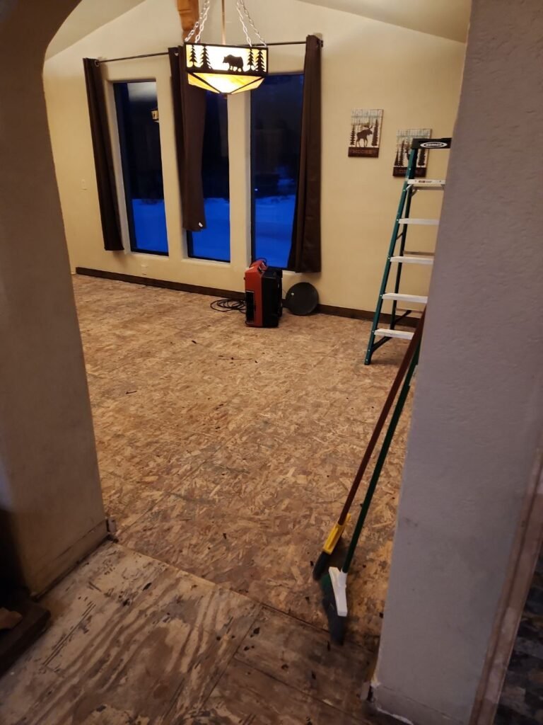 5d178bfd-1359-4cfe-bd4b-ba007342ee4b