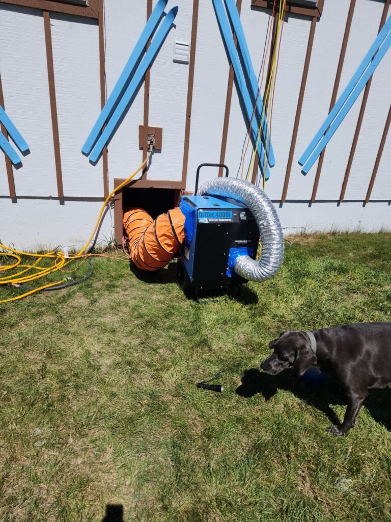 6041c1b8-8bc3-4205-a219-a59bb7e4bbcf