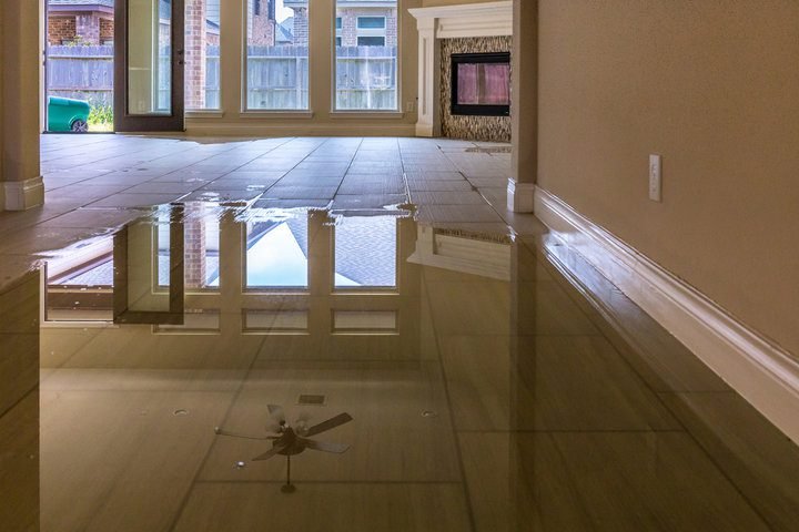 How Restoration Companies Dry Hardwood Floors