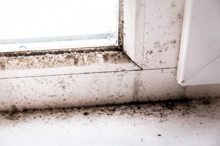 Signs Your Property Needs Professional Mold Remediation | Fire and Water Damage Restoration in Breckenridge, CO | Rocky Mountain Restore in Breckenridge, CO