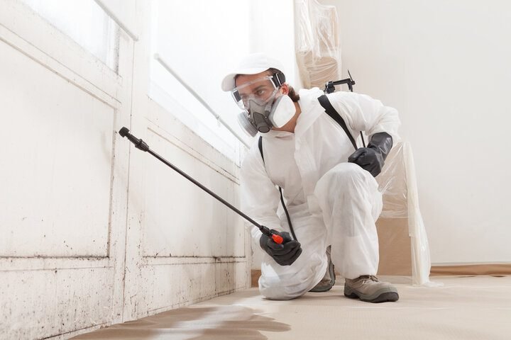Commercial Mold Remediation for Office Buildings | Fire and Water Damage Restoration in Breckenridge, CO | Rocky Mountain Restore in Breckenridge, CO