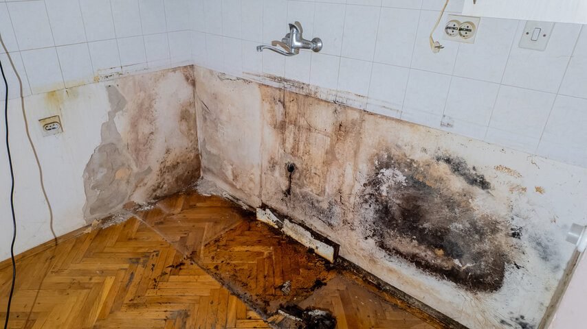 Preparing Your Home for Spring Water Damage Risks | Fire and Water Damage Restoration in Breckenridge, CO | Rocky Mountain Restore in Breckenridge, CO